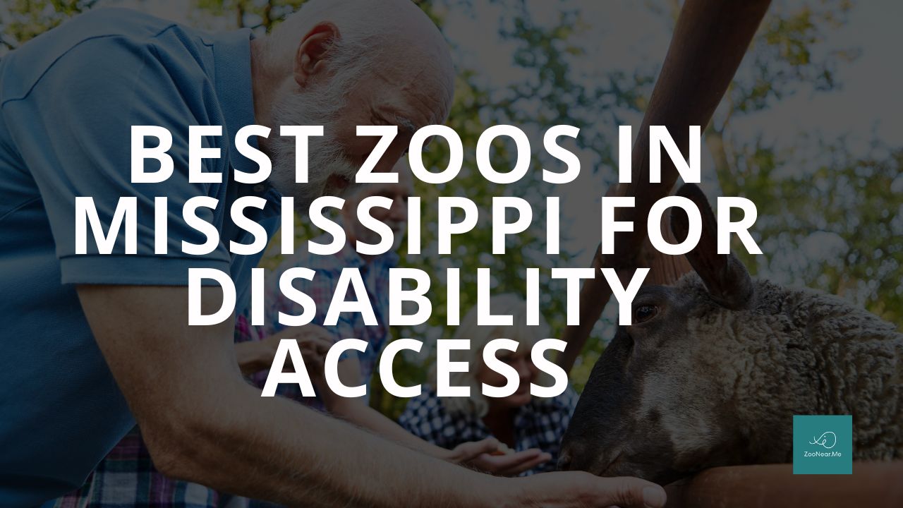 The Best Zoo In Mississippi, USA For Disability Access