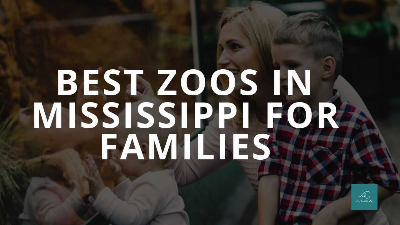 The Best Zoo In Mississippi, USA For Families