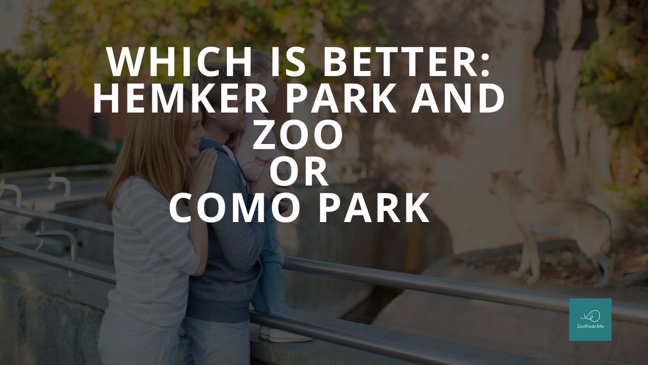 Which Is Best: Hemker Park and Zoo Or Como Park. A Guide To Which Is The Best Zoo In Minnesota, USA