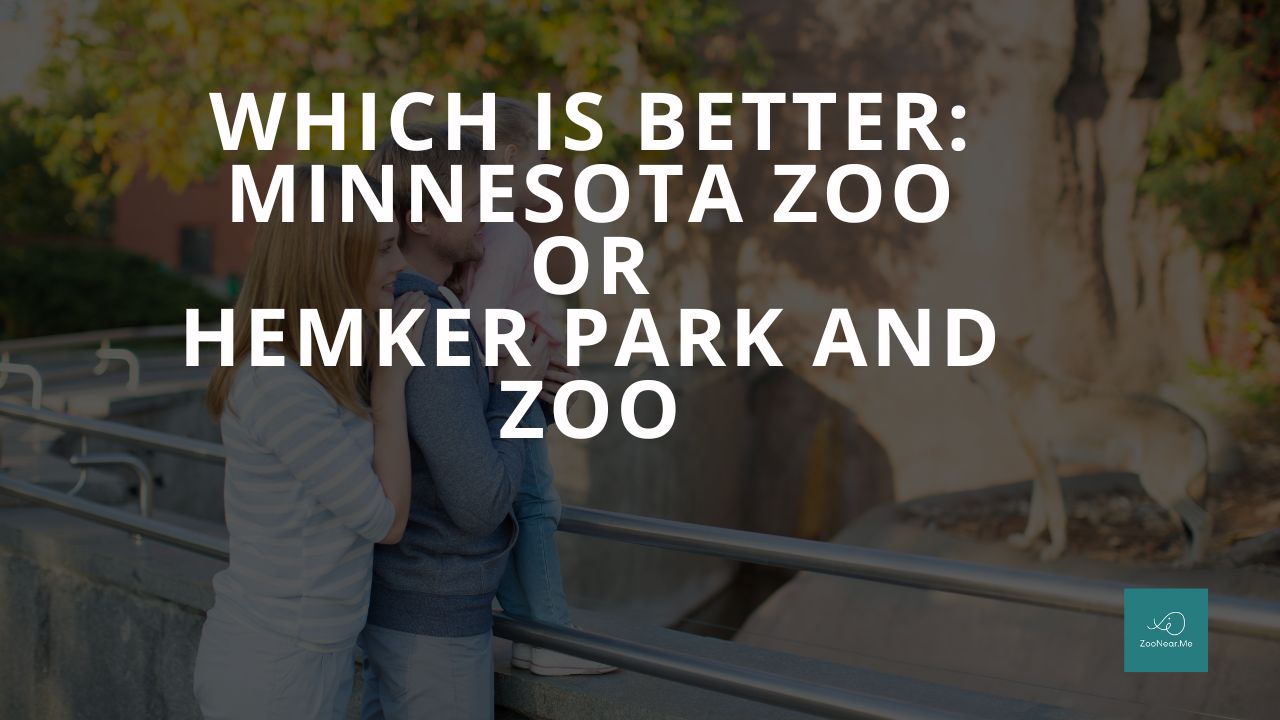 Which Is Best: Minnesota Zoo Or Hemker Park and Zoo. A Guide To Which Is The Best Zoo In Minnesota, USA