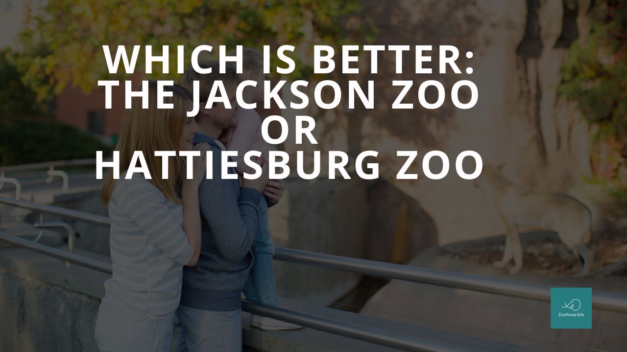 Which Is Best: The Jackson Zoo Or Hattiesburg Zoo. A Guide To Which Is The Best Zoo In Mississippi, USA